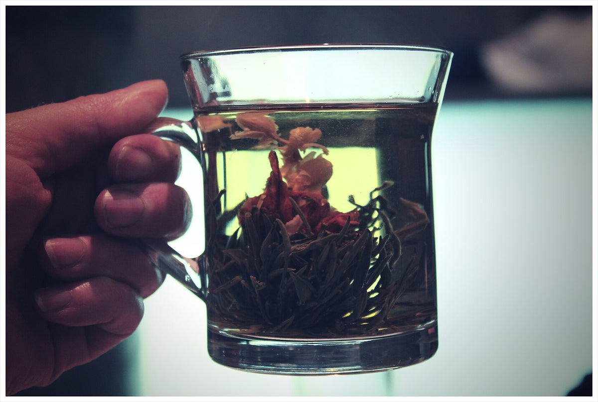 Fresh jasmine flowers used to scent green tea for jasmine tea